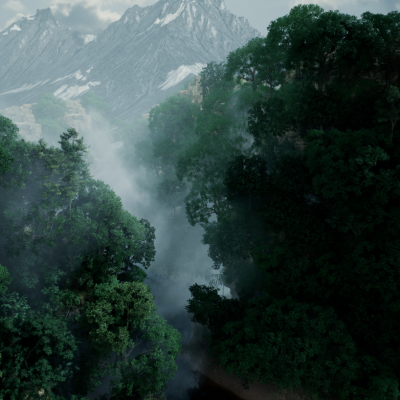 Shot_Close_Forest_v1
